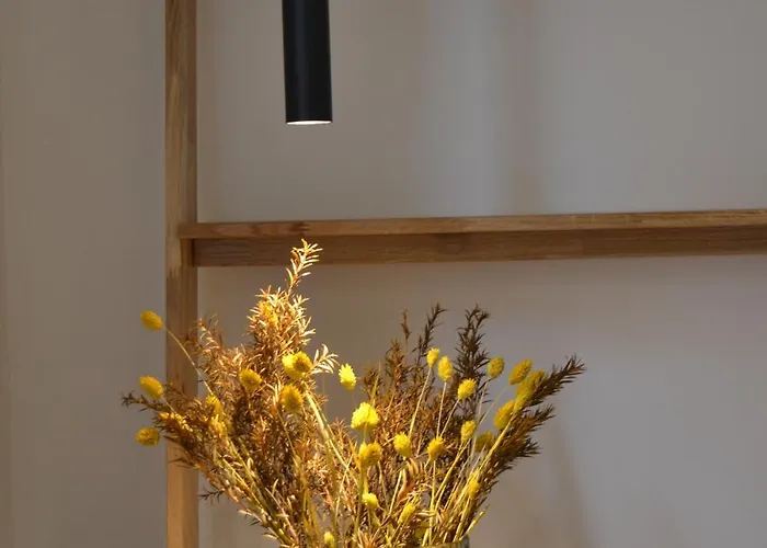 Everyday Corte Petroni * Bologna